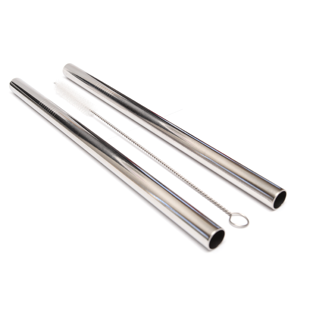 Stainless Steel Smoothie Straw 2 pack