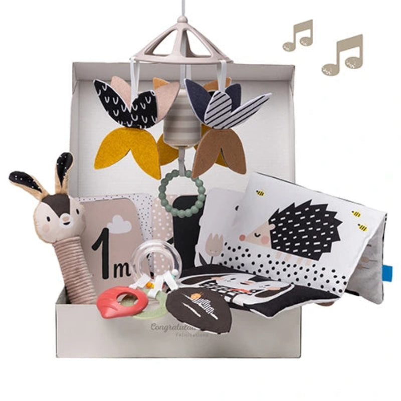 Taf Toys Newborn Kit 0m+