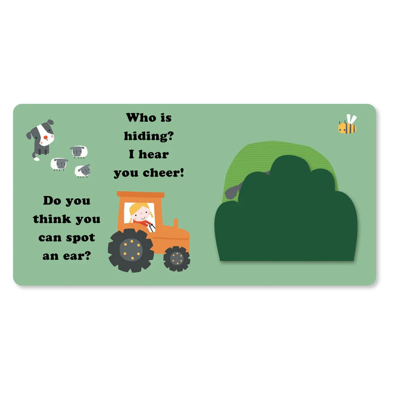 Fuzzy Friends - Hide and Seek Books