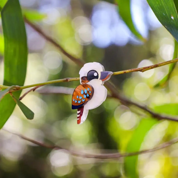 Kookaburra Studs - Statement Bird Earrings