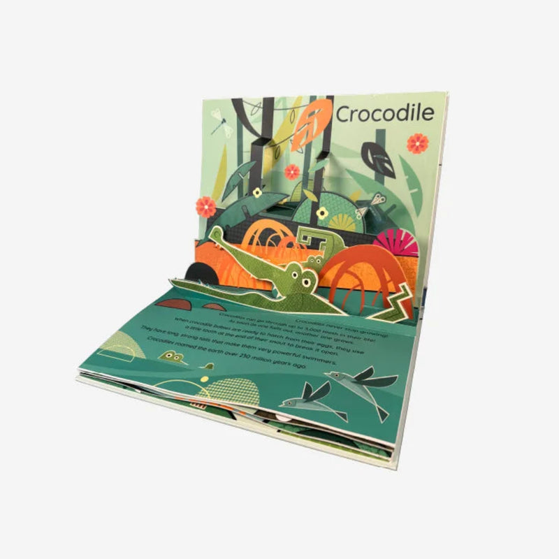 Really Decent Books - Pop Up Planet