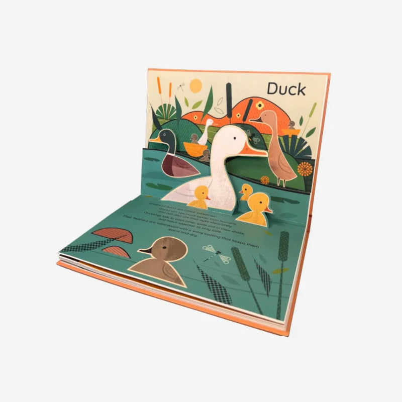Really Decent Books - Pop Up Planet