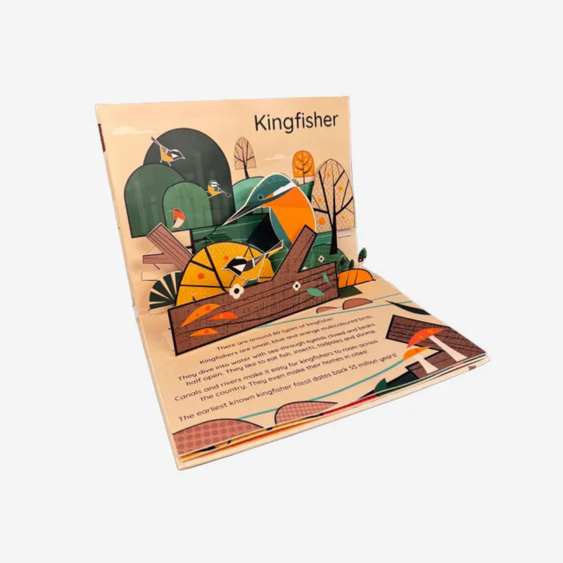 Really Decent Books - Pop Up Planet
