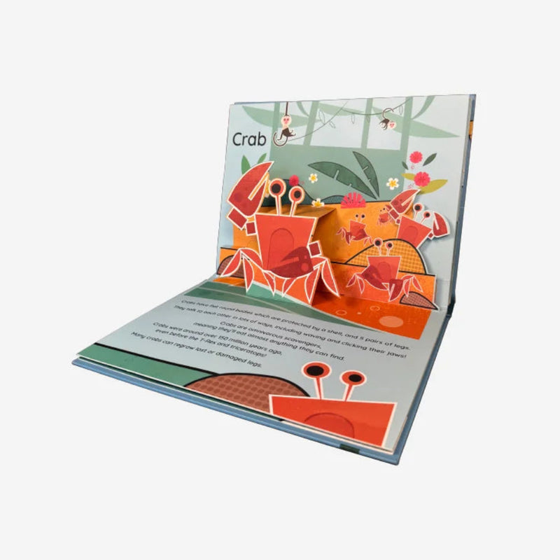 Really Decent Books - Pop Up Planet