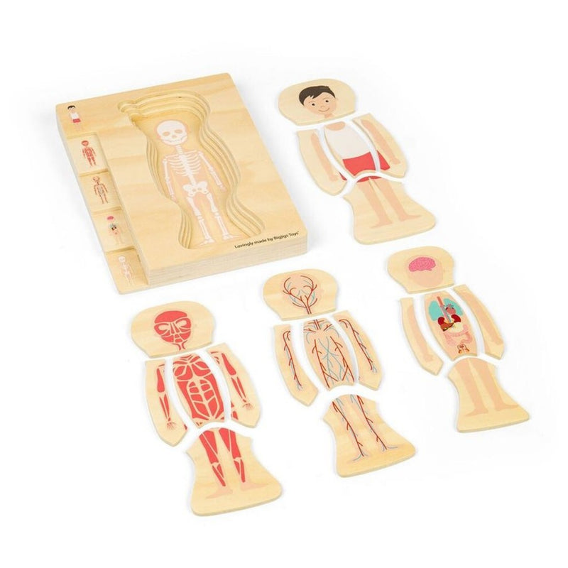 BigJigs - Human Anatomy Wooden Puzzles