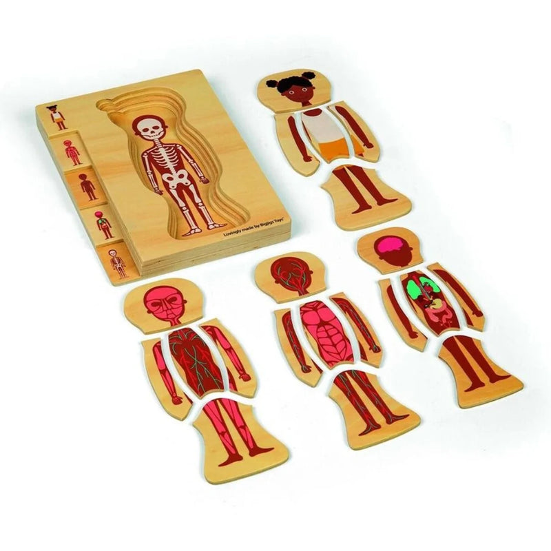 BigJigs - Human Anatomy Wooden Puzzles