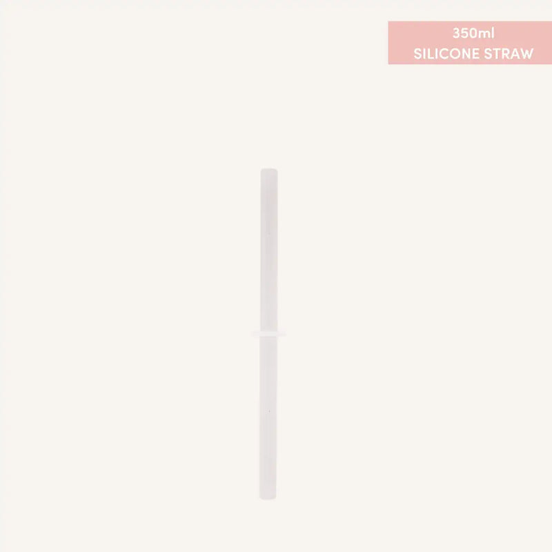 Fusion Range Straw for smoothie lid