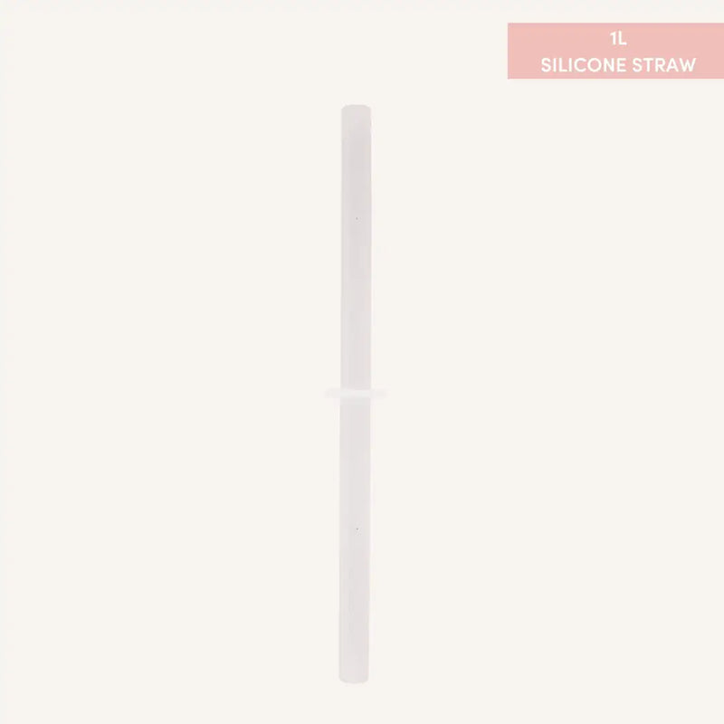 Fusion Range Straw for smoothie lid