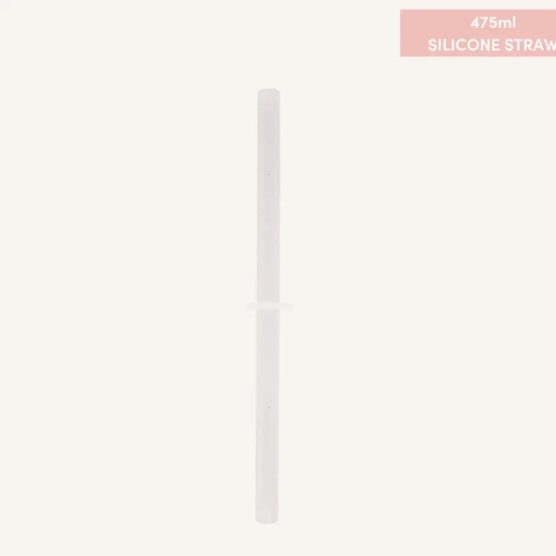 Fusion Range Straw for smoothie lid