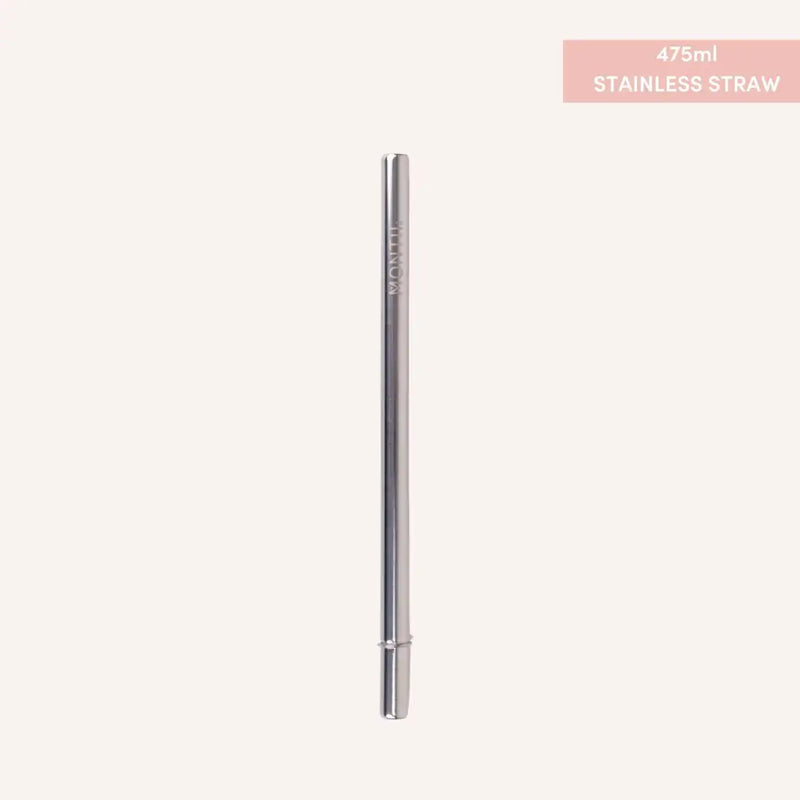 Fusion Range Straw for smoothie lid