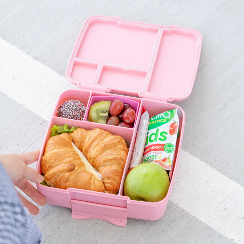 MontiiCo - Feast Bento Cups