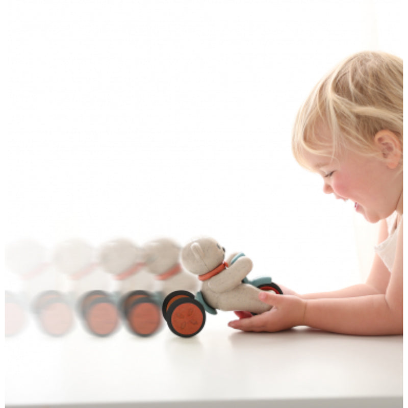 Tolo Toys - Bio Push & Go Teddy