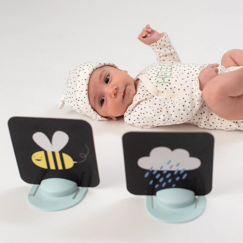 My first Tummy Time Contrast Cards - Taf Toys