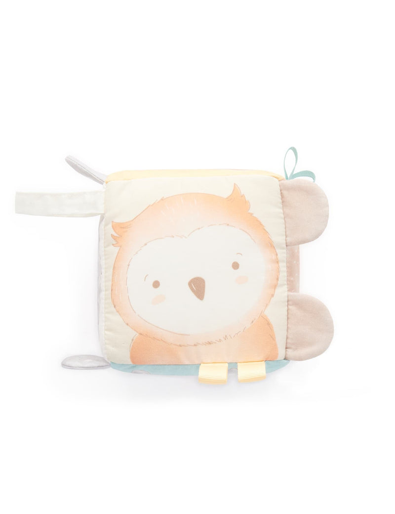 Purebaby Sensory Cube