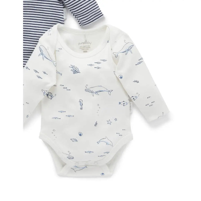 Purebaby Essentials Easy Neck Long sleeve 2pk Bodysuit - Vanilla Nautical