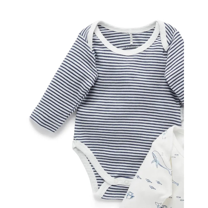 Purebaby Essentials Easy Neck Long sleeve 2pk Bodysuit - Vanilla Nautical