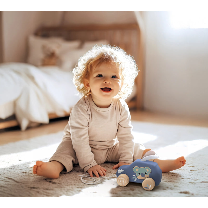 Speedy Monkey - Pull Along