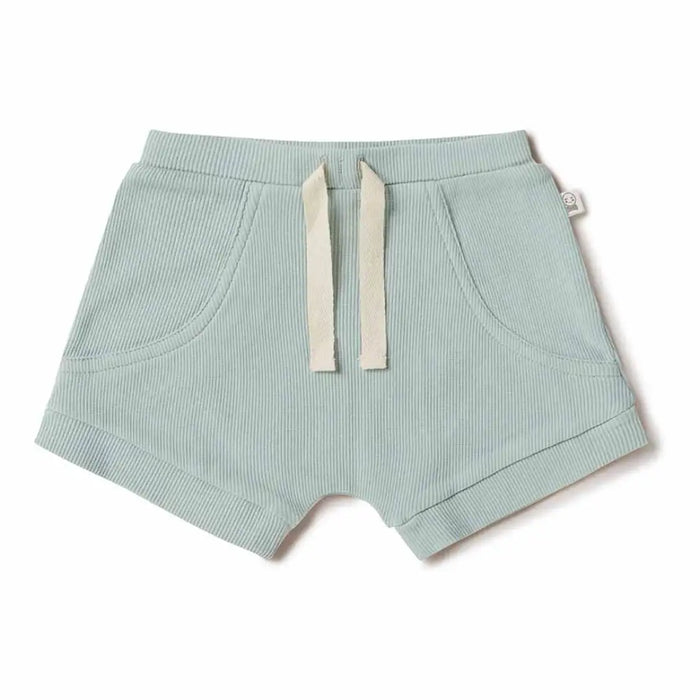 Snuggle Hunny Shorts - Sage