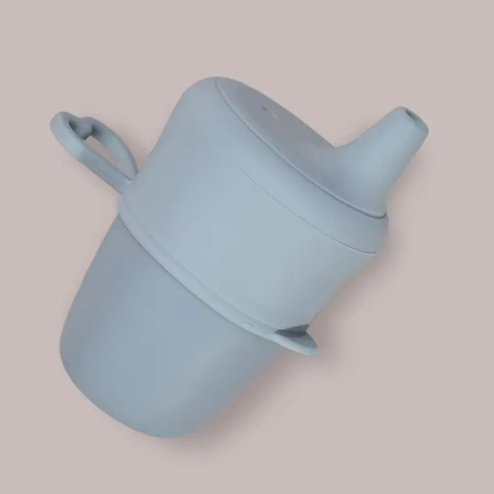 Silicone Sippy Cup with Universal Lid