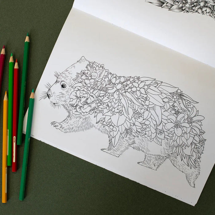 Colouring Book A4 - Wild Australia 2024