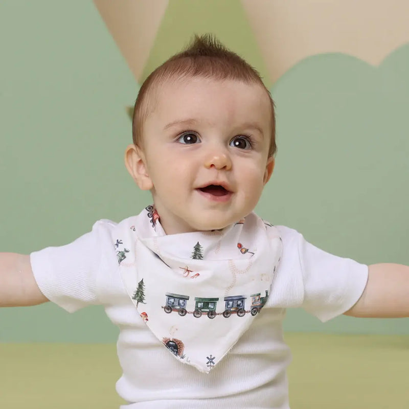 Snuggle Hunny Bib - Organic Dribble Bib - various