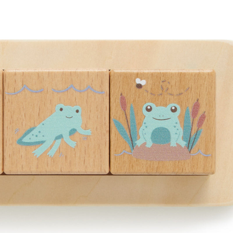 purebaby lifecycle blocks frog detail