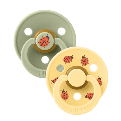 BIBS Studio Collection Colour Dummies 2-pack