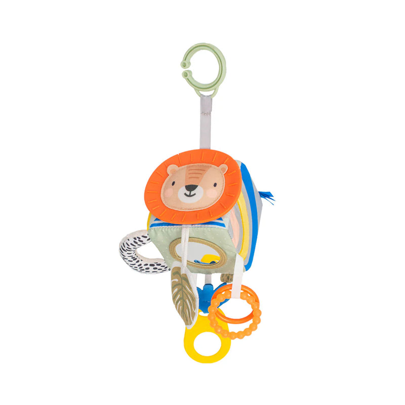 Taf Toys  Discovery Cube