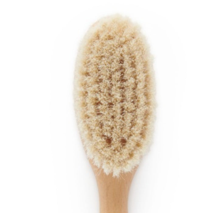 PureBaby - Goat Hair Brush with Box - Natural Walnut