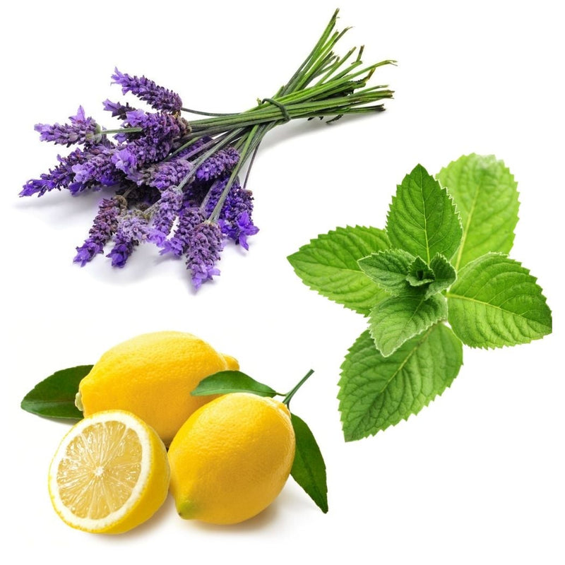 Lavender - Lemon - Peppermint Introductory Kit