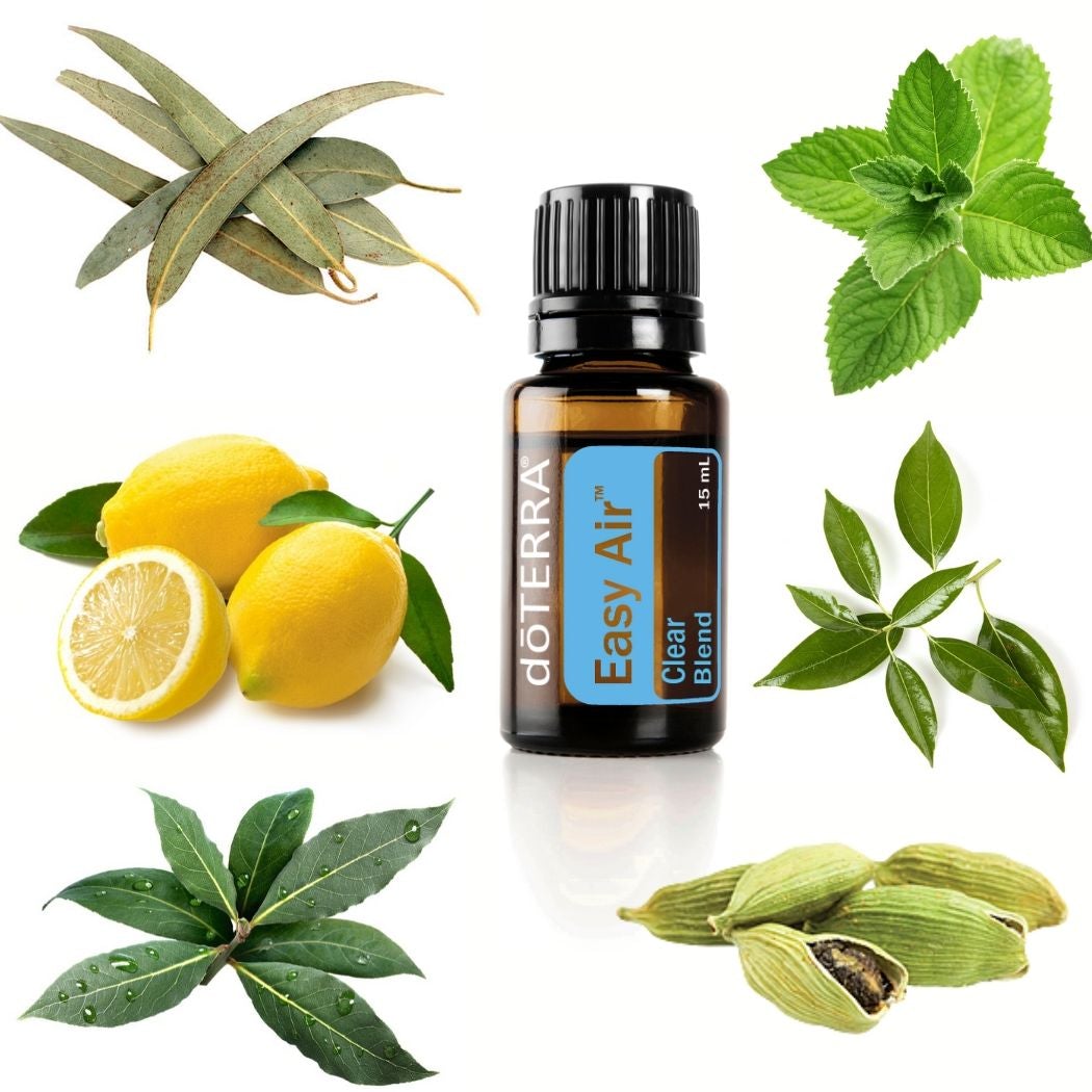 DoTerra Easy Air® Respiratory/Clear Blend — B Eco Family