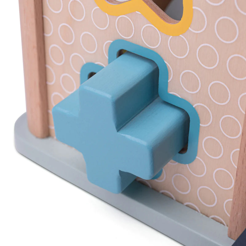 FSC Shape Sorter - Bigjig Toys