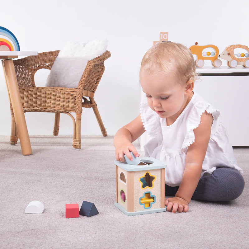 FSC Shape Sorter - Bigjig Toys