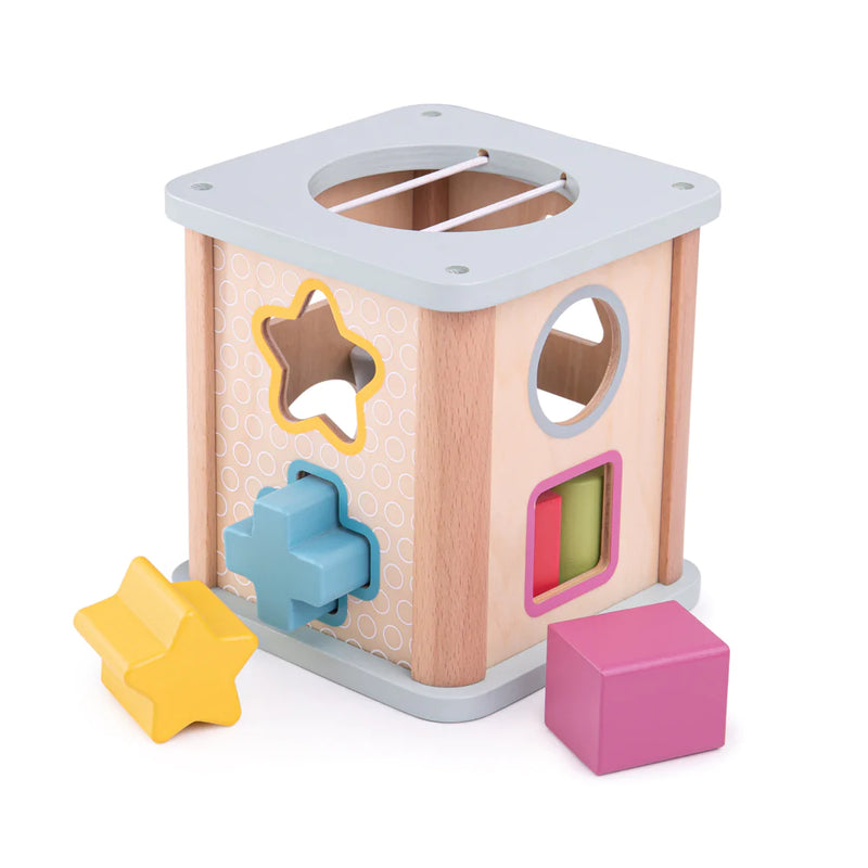 FSC Shape Sorter - Bigjig Toys
