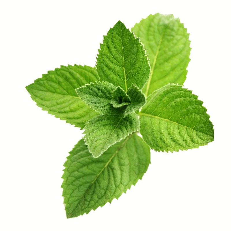 Peppermint Essential Oil - doTerra