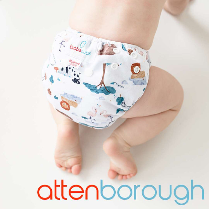 BoPeep All In Two Reusable Newborn Nappy Complete - Bubblebubs