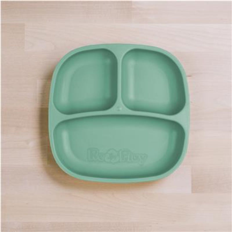 RePlay - Divided Plate