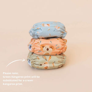 Soft Cover Recycled Ai2 Cloth Nappy - Bare & Boho