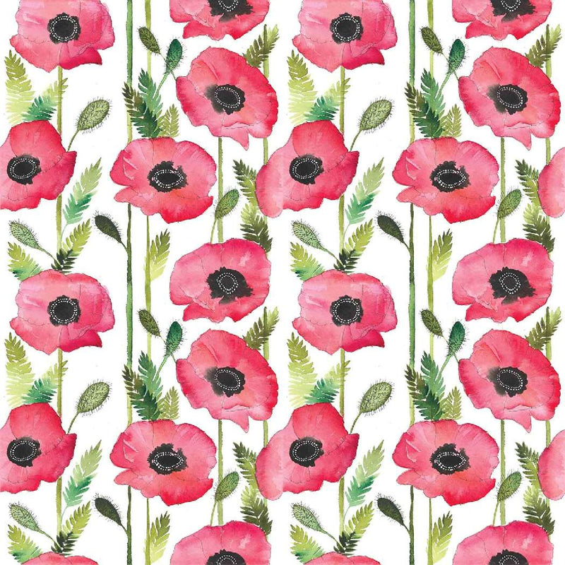 All in 2 (OSFM) cloth nappy - Designer Bums